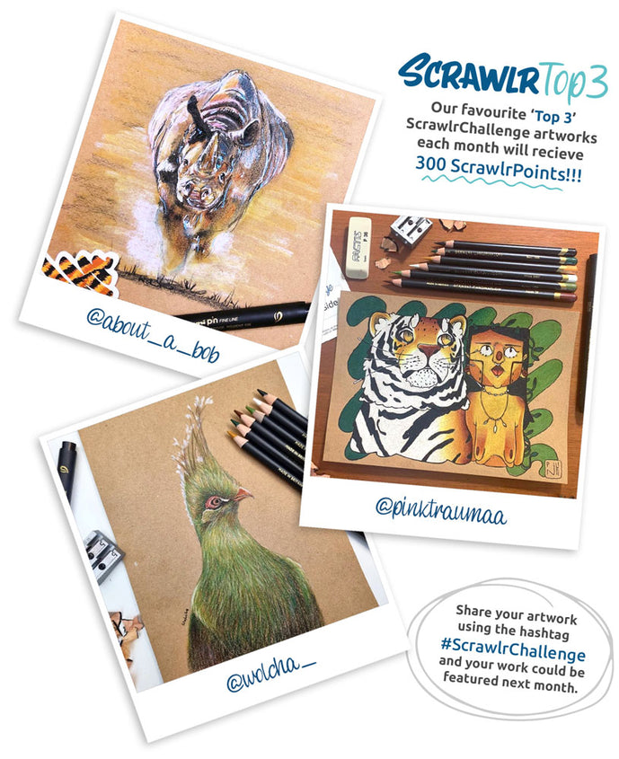 ScrawlrBox (12 Months) - The Monthly Premium Art Supply Subscription